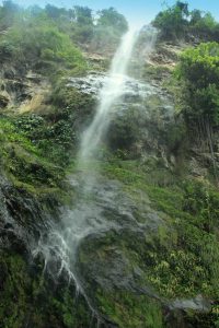 Maracas Waterfalls