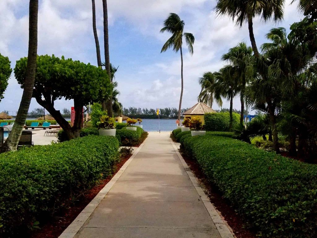 The beautifully landscaped walkway to the beach