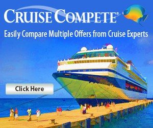 MSC Cruises Begins Countdown To MSC Seaview Christening on June 9 | 28
