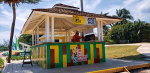 MSC Seaside Family Cruise: Day 3 - Ocho Rios, Jamaica | 20