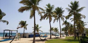 Why You Should Immediately Book A Courtyard by Marriott Isla Verde Beach Resort Day Pass | 5