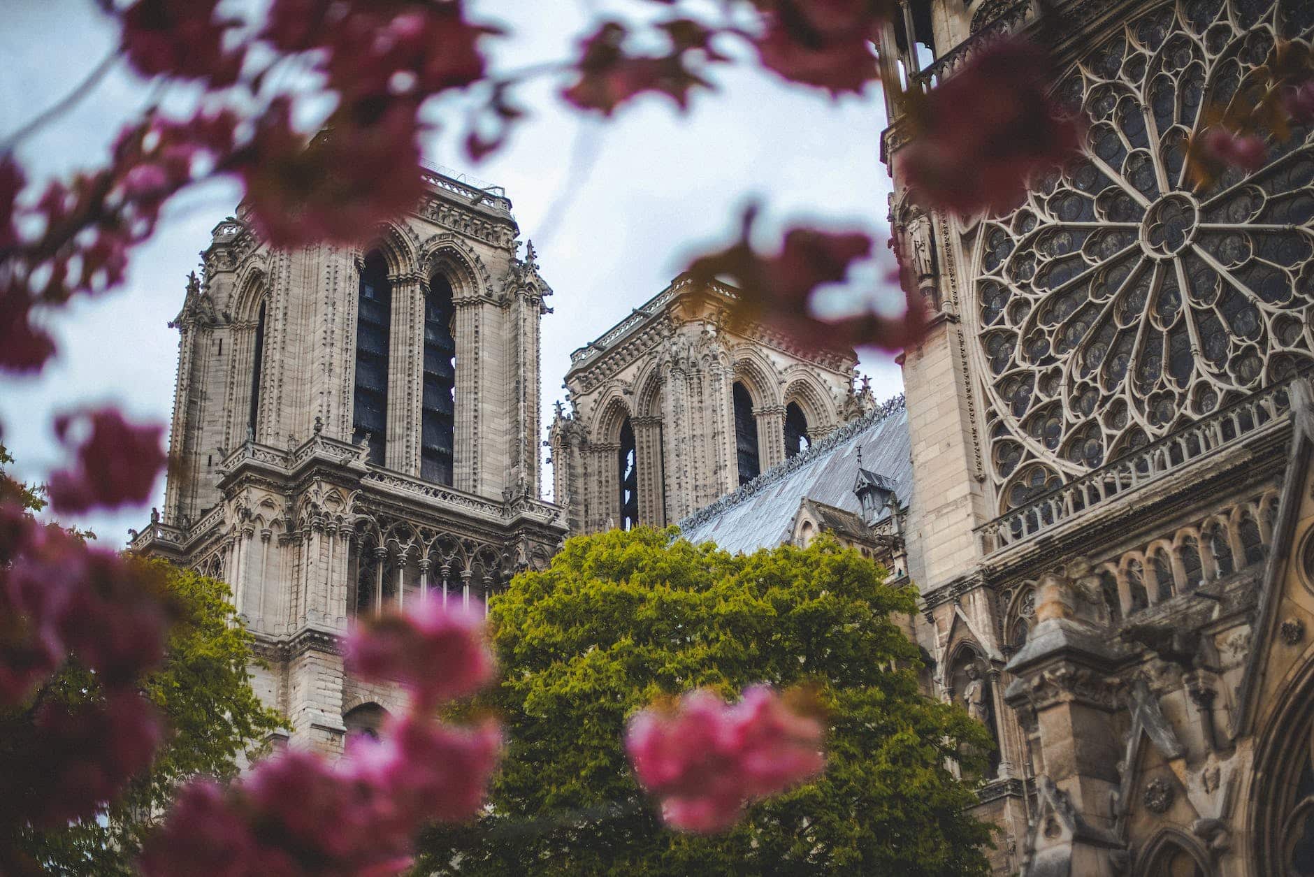 low angle photo of notre dame